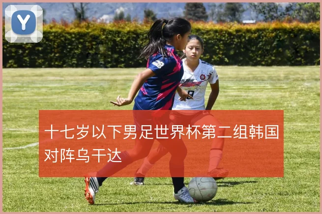 十七岁以下男足世界杯第二组韩国对阵乌干达