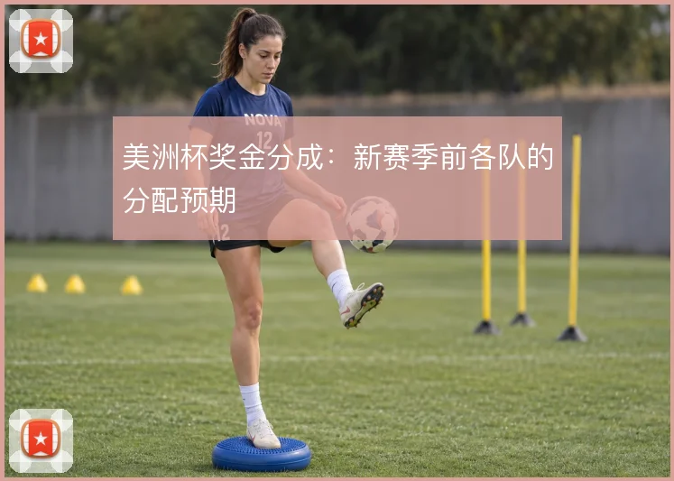 美洲杯奖金分成：新赛季前各队的分配预期