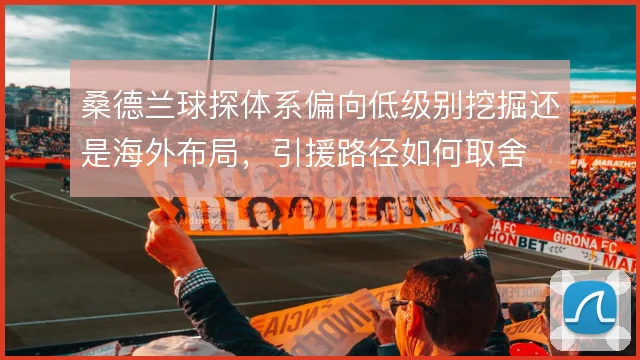 桑德兰球探体系偏向低级别挖掘还是海外布局，引援路径如何取舍