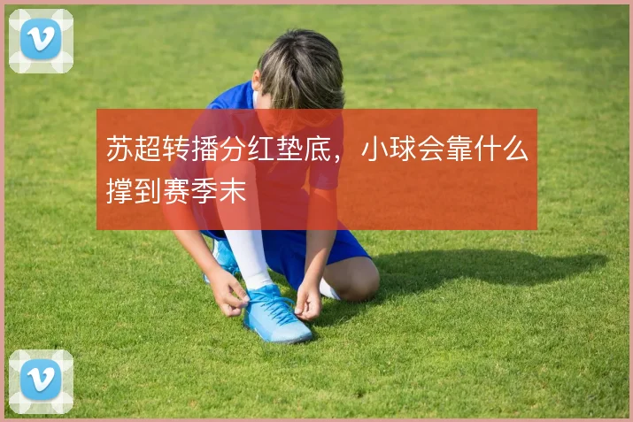 苏超转播分红垫底，小球会靠什么撑到赛季末